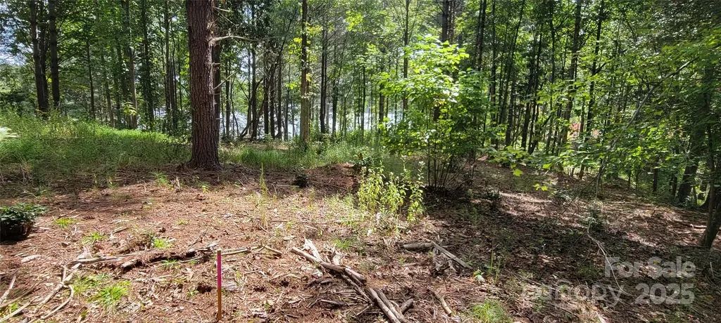 Tba Scenic Lane Granite Falls NC 28630