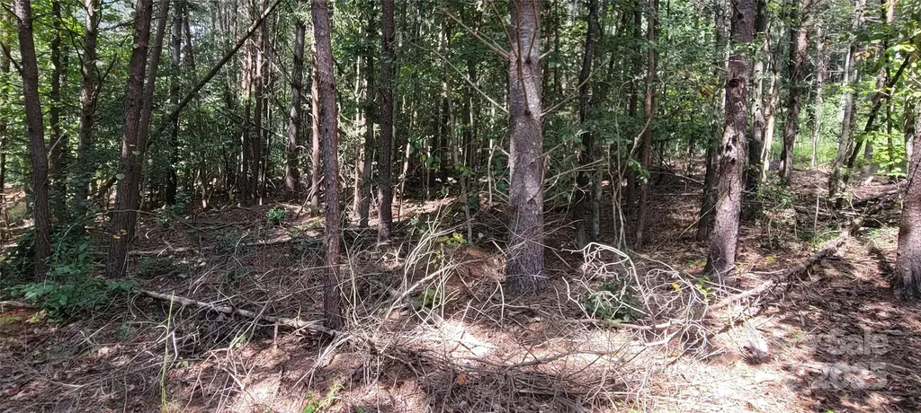 Tba Scenic Lane Granite Falls NC 28630