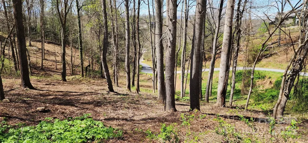 31 Sweet Fern Parkway Asheville NC 28804