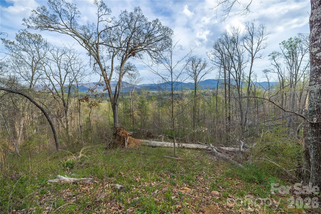 Lot 2 Wake Robin Way Asheville NC 28805