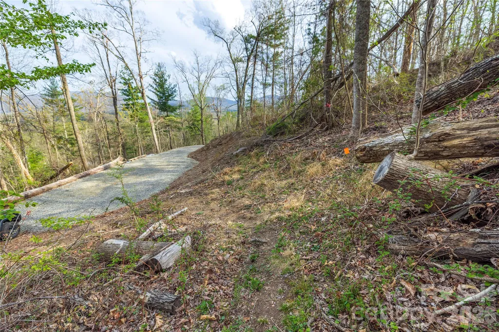 Lot 2 Wake Robin Way Asheville NC 28805