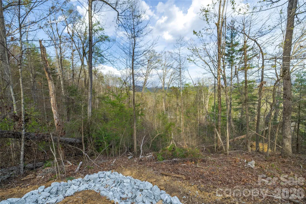 Lot 1 Wake Robin Way Asheville NC 28805