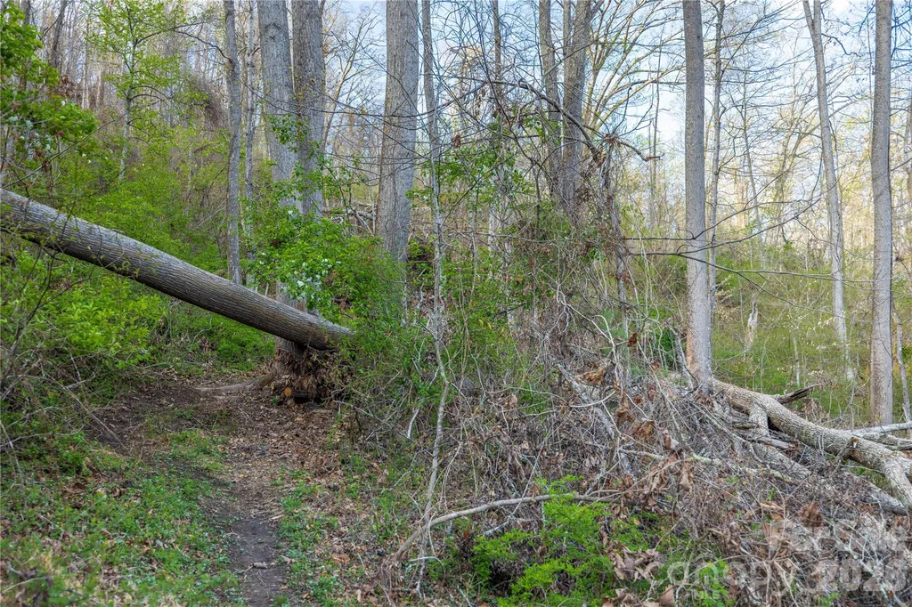 Lot 1 Wake Robin Way Asheville NC 28805