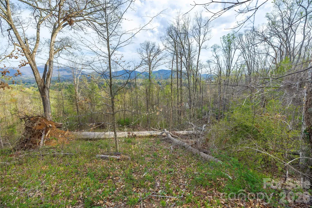 Lot 1 Wake Robin Way Asheville NC 28805