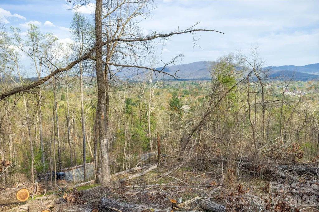 Lot 1 Wake Robin Way Asheville NC 28805
