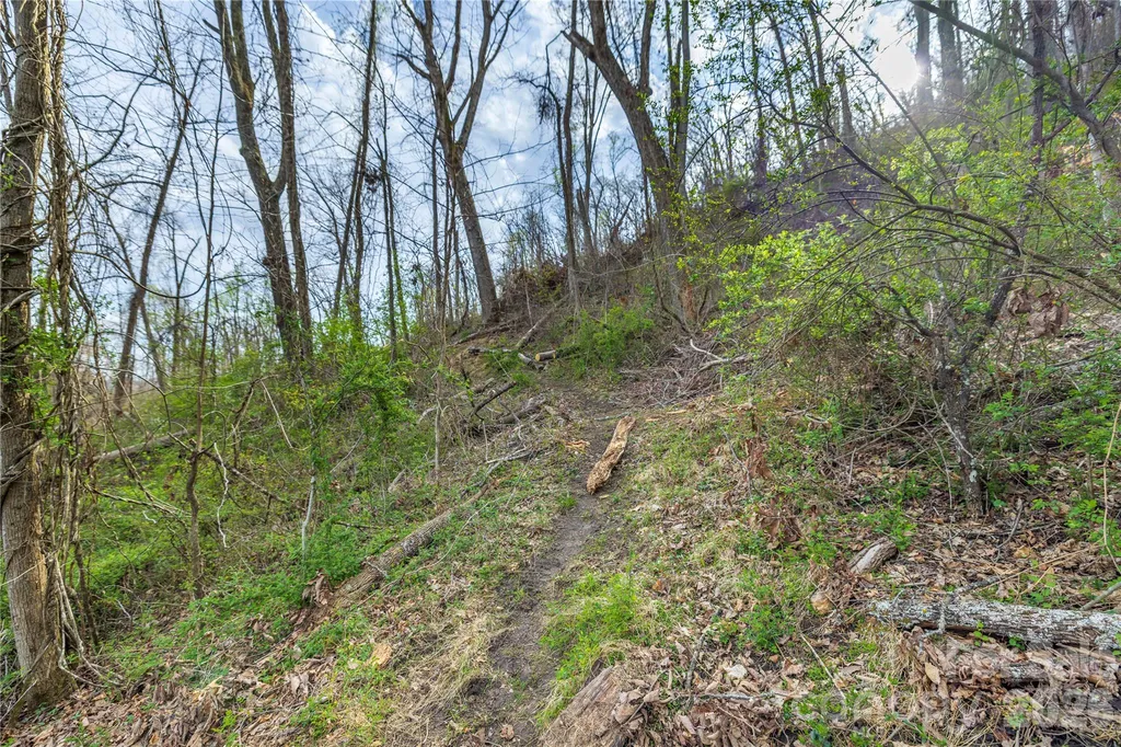 Lot 1 Wake Robin Way Asheville NC 28805