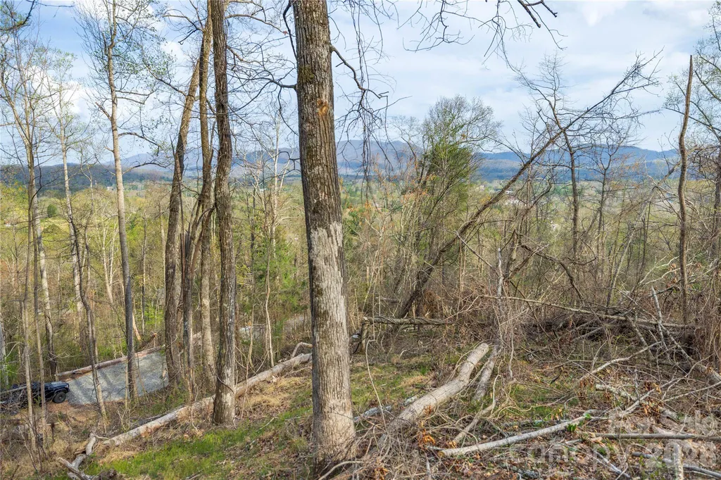 Lot 1 Wake Robin Way Asheville NC 28805