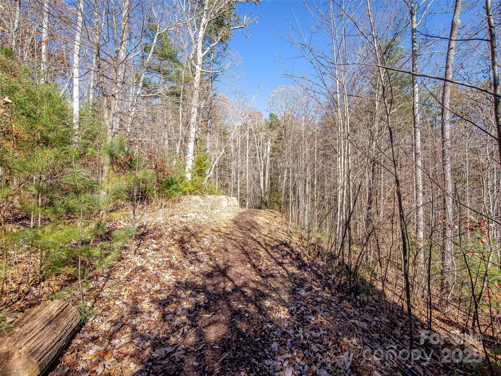 36 Slide Rock Way Fairview NC 28730