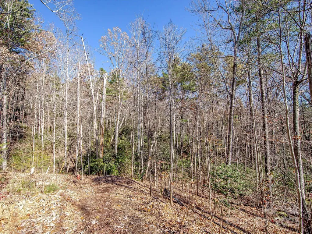 36 Slide Rock Way Fairview NC 28730