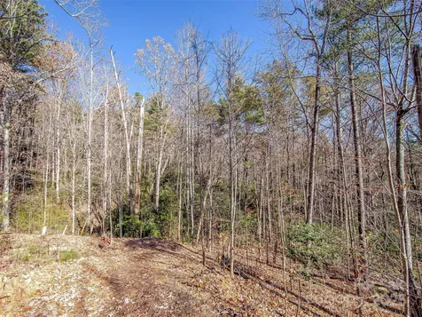 36 Slide Rock Way Fairview NC 28730