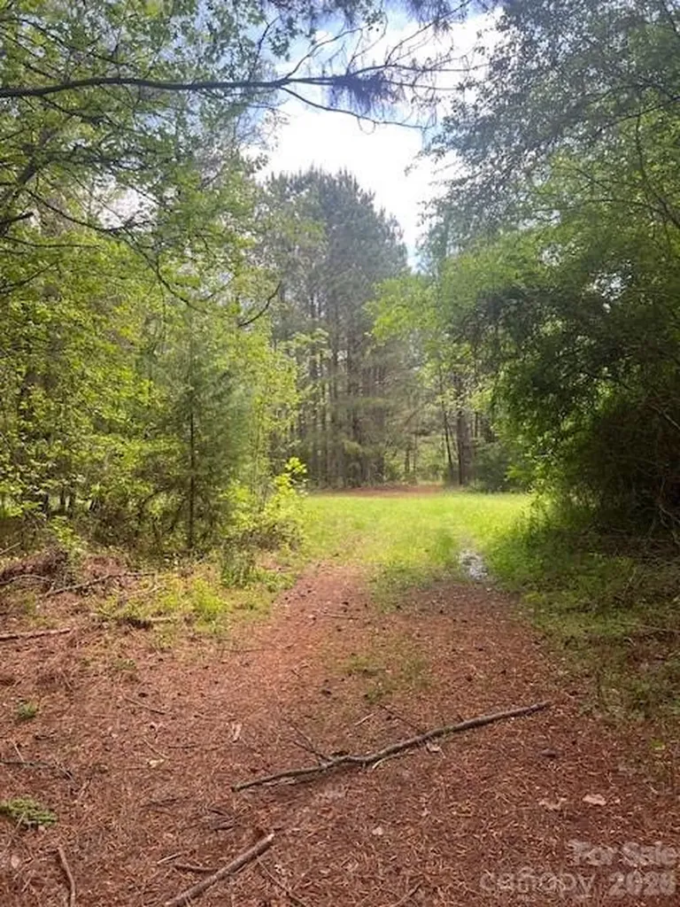 Tbd Pleasant Hill Church Road Wadesboro NC 28170