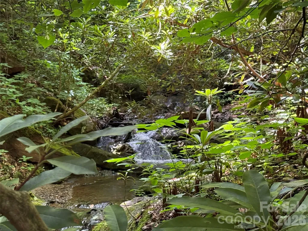 5 Copperhead Cove Sylva NC 28779