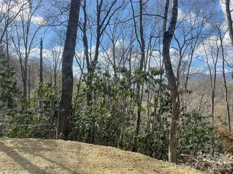 5 Copperhead Cove Sylva NC 28779