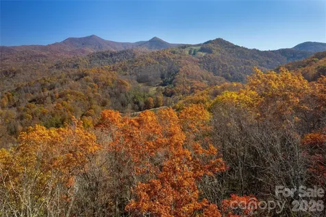 5 Copperhead Cove Sylva NC 28779