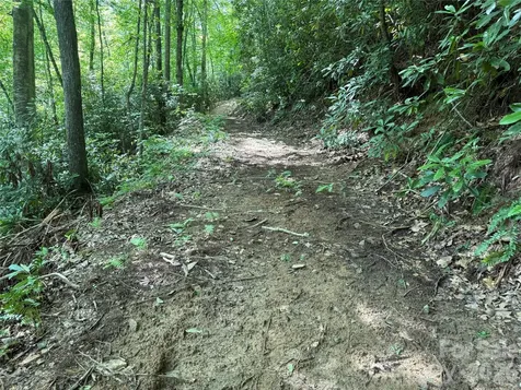 5 Copperhead Cove Sylva NC 28779