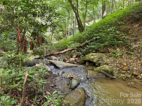 5 Copperhead Cove Sylva NC 28779