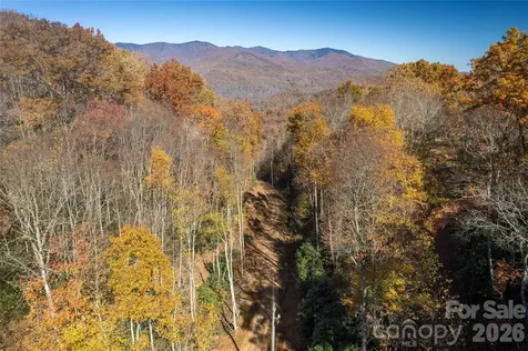 5 Copperhead Cove Sylva NC 28779