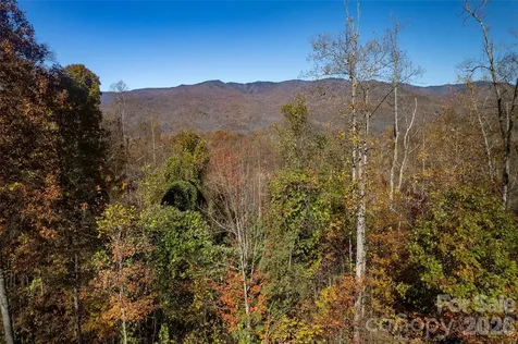 5 Copperhead Cove Sylva NC 28779