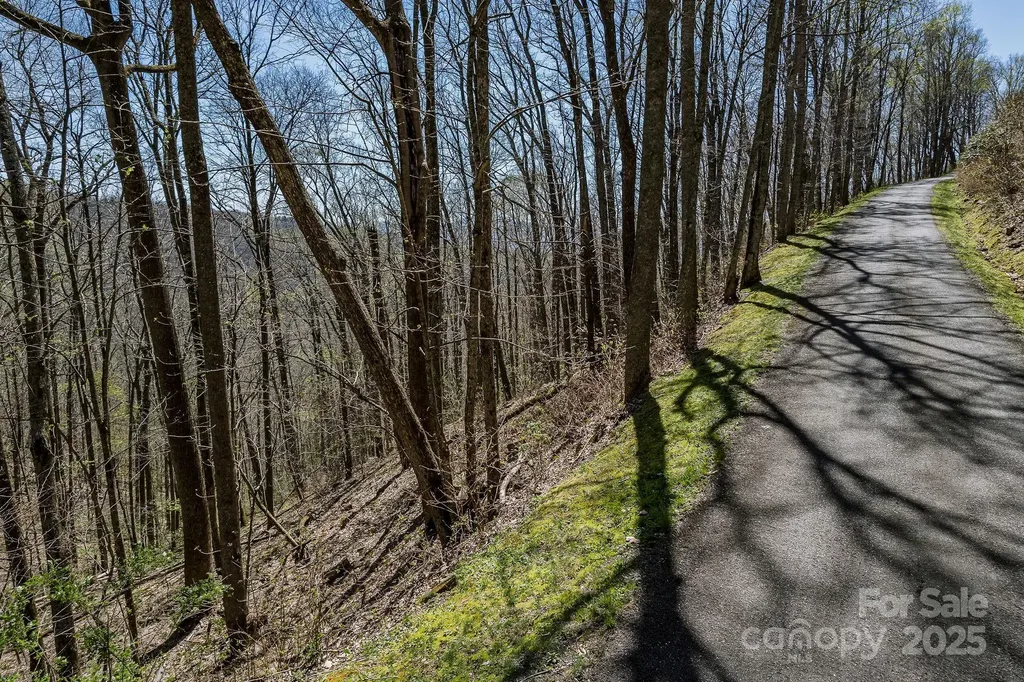 99999 Chestnut Forest Road Fairview NC 28730