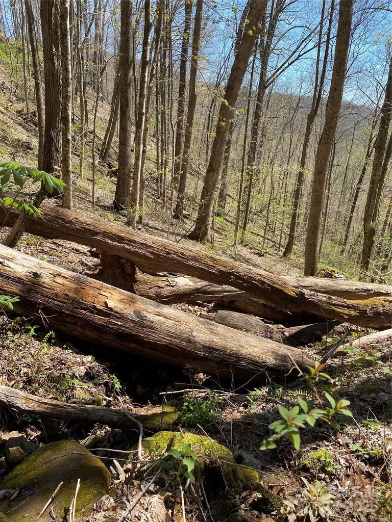 99999 Chestnut Forest Road Fairview NC 28730