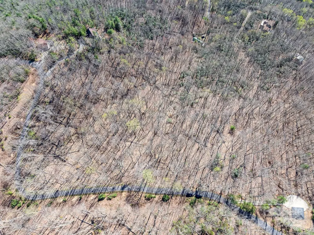 99999 Chestnut Forest Road Fairview NC 28730