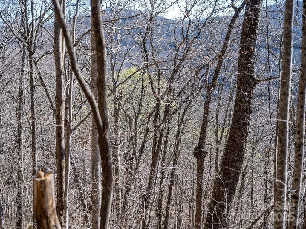 99999 Chestnut Forest Road Fairview NC 28730