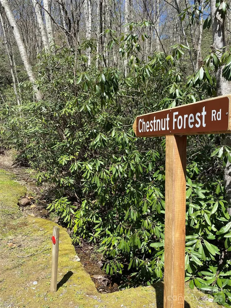99999 Chestnut Forest Road Fairview NC 28730
