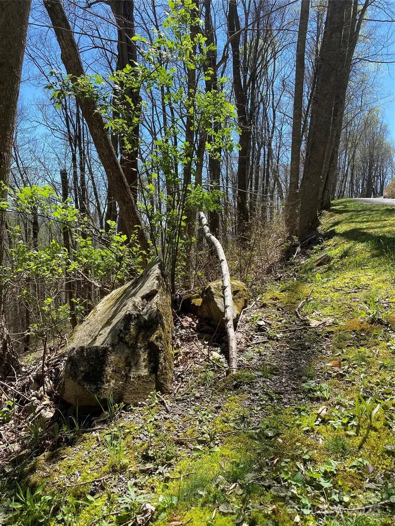 99999 Chestnut Forest Road Fairview NC 28730