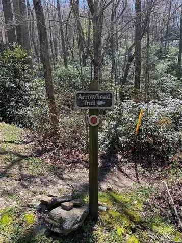 99999 Chestnut Forest Road Fairview NC 28730