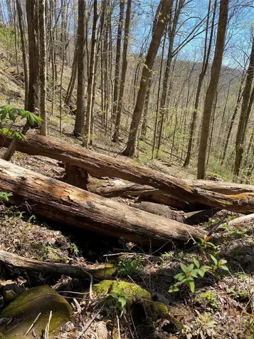 99999 Chestnut Forest Road Fairview NC 28730
