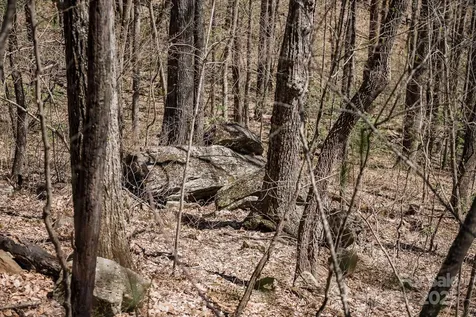 99999 Chestnut Forest Road Fairview NC 28730