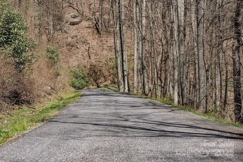 99999 Chestnut Forest Road Fairview NC 28730