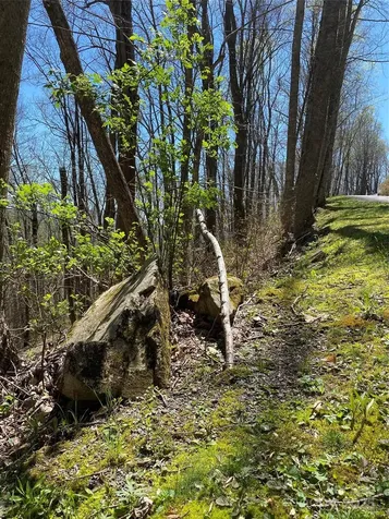 99999 Chestnut Forest Road Fairview NC 28730