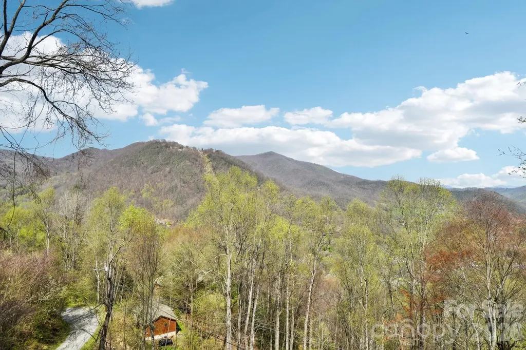 1426 Setzer Cove Road Maggie Valley NC 28751