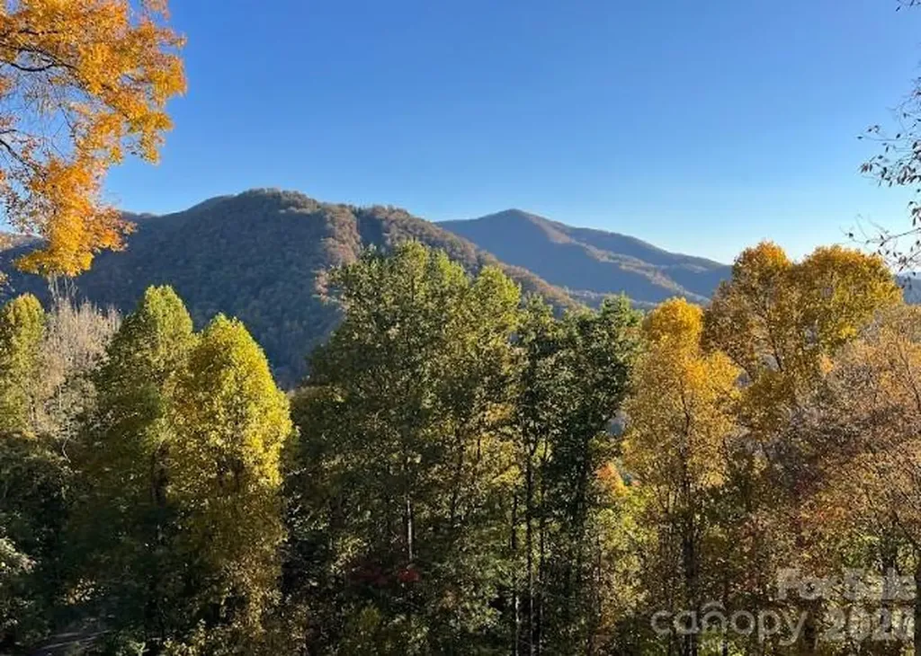 1426 Setzer Cove Road Maggie Valley NC 28751