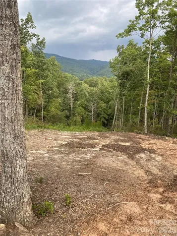 1 Jackson Ridge Lane Mill Spring NC 28756