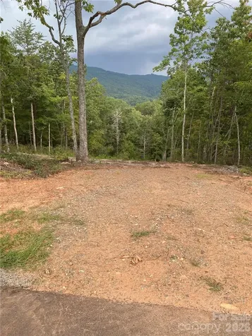 1 Jackson Ridge Lane Mill Spring NC 28756