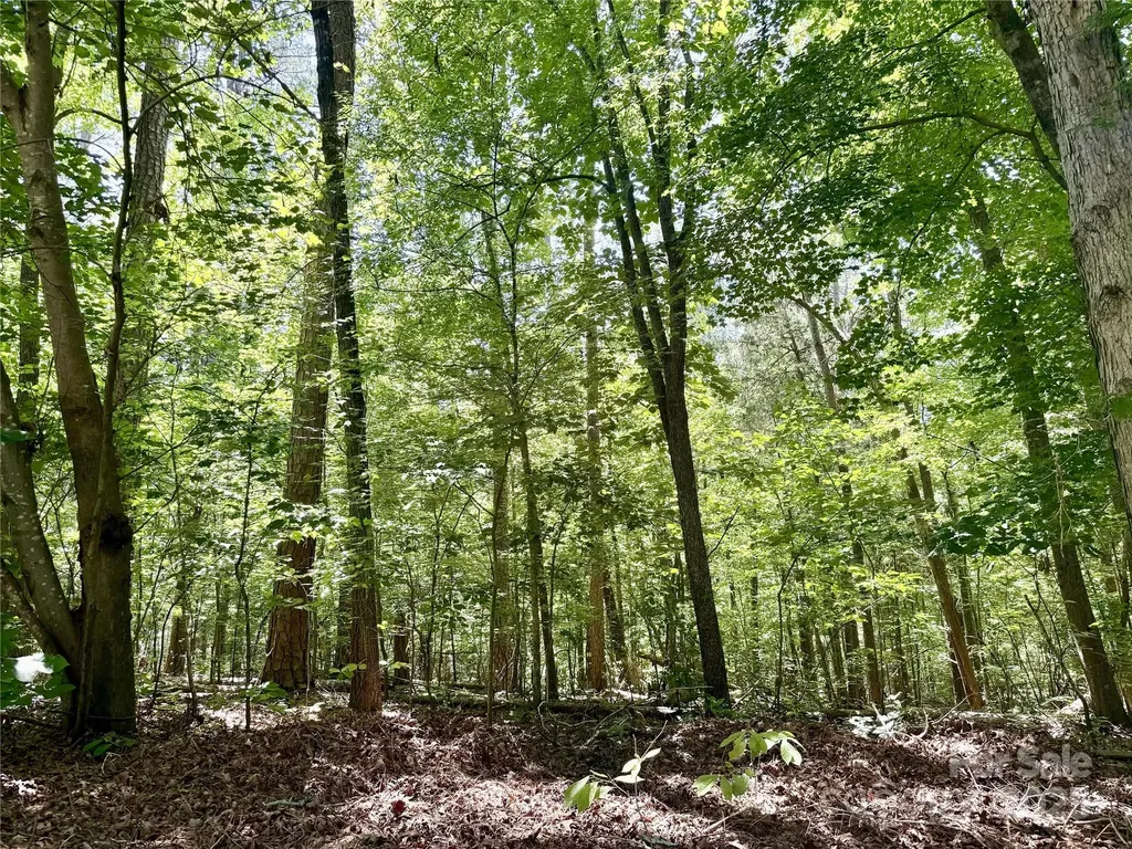 00 Margie Lane Norwood NC 28128