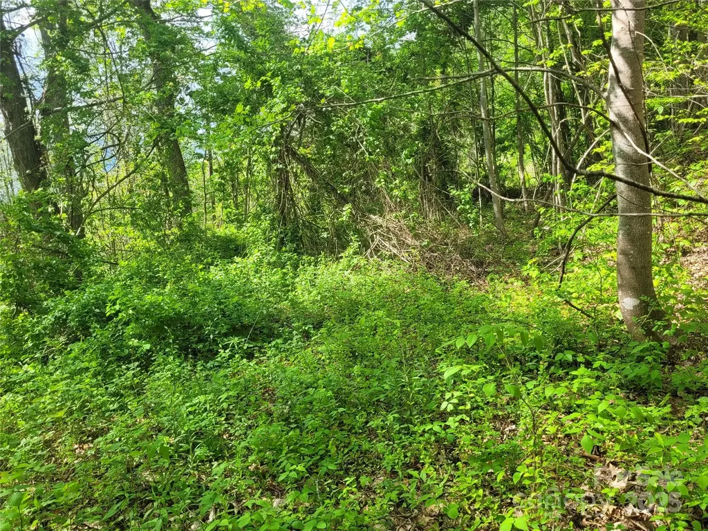 00 Liner Cove Road Waynesville NC 28786