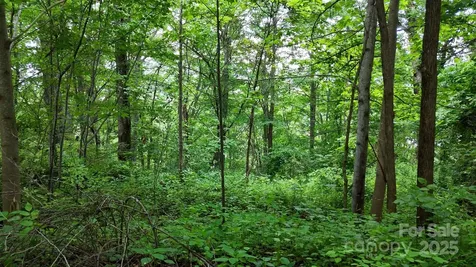 00 Liner Cove Road Waynesville NC 28786