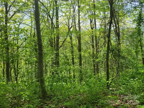 00 Liner Cove Road Waynesville NC 28786