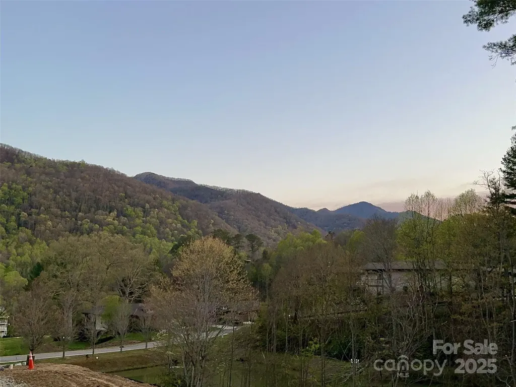 8 Freshwater Cove Maggie Valley NC 28751