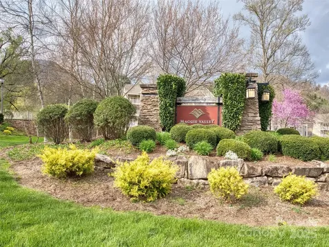 8 Freshwater Cove Maggie Valley NC 28751