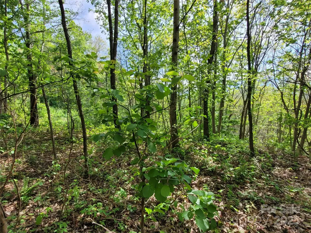 00 Liner Cove Road Waynesville NC 28786