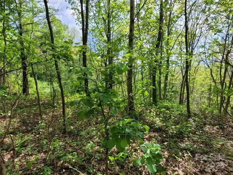 00 Liner Cove Road Waynesville NC 28786