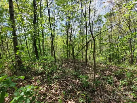 00 Liner Cove Road Waynesville NC 28786