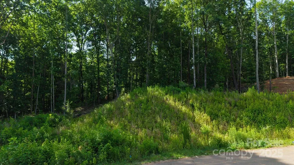0 Honey Tree Lane Kannapolis NC 28027