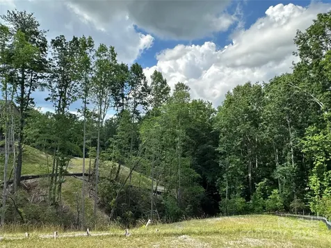 18 Chimney Chase Trail Hendersonville NC 28739