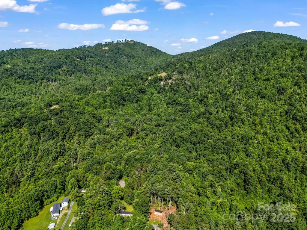 Tbd Climbing Road Hendersonville NC 28792