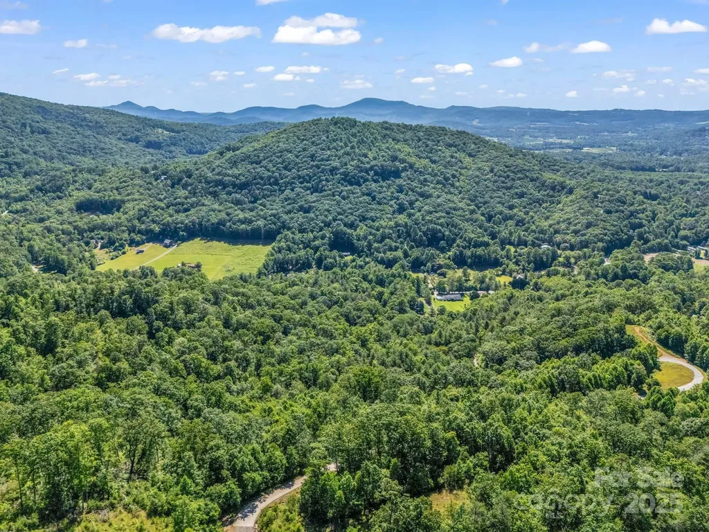 Tbd Climbing Road Hendersonville NC 28792